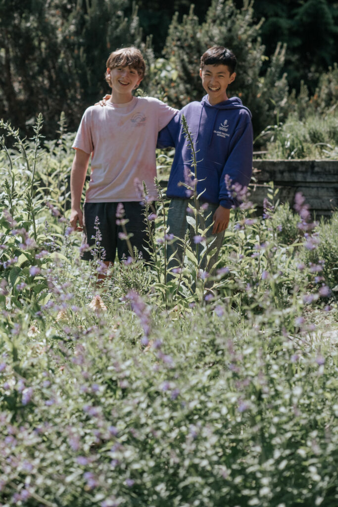 admissionsBoysinMeadow